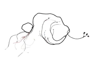 Image of 4923576