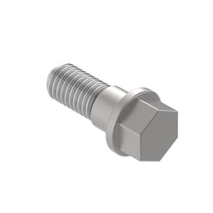 Screw