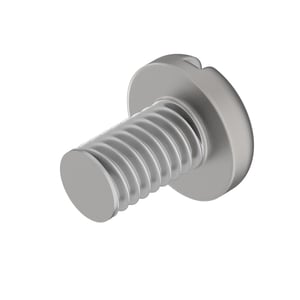 Screw