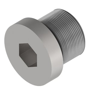 Fitting Plug