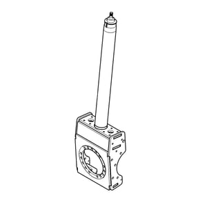 Leg