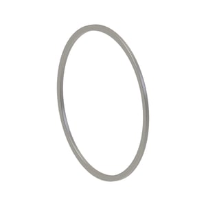 Back-Up Ring