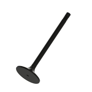 Intake Valve