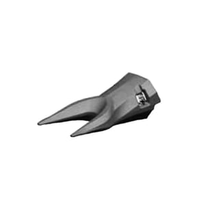 Tooth