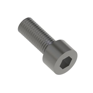 Screw