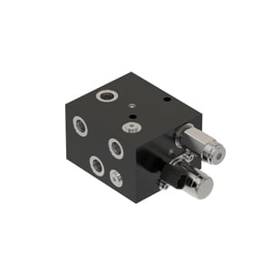 Manifold