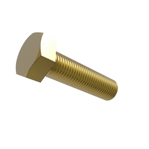 Screw