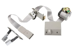 Image of 12543382