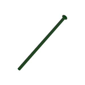 Leg