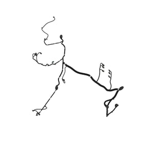 Image of AKK29278