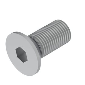 Screw