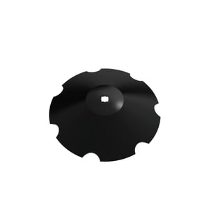 Disk