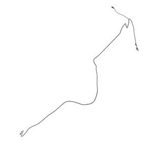 Image of AT490664