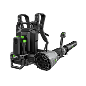 Image of LBPX8000