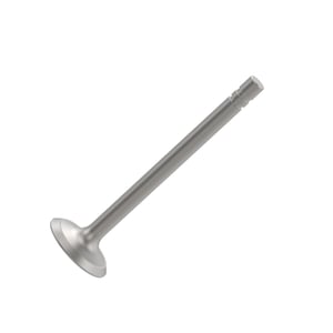 Exhaust Valve