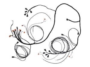 Image of 4922696