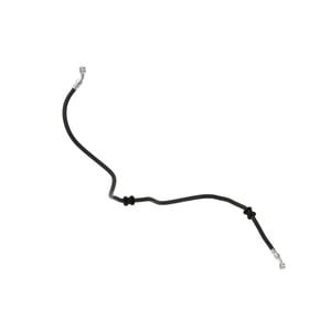 Image of AUC13873