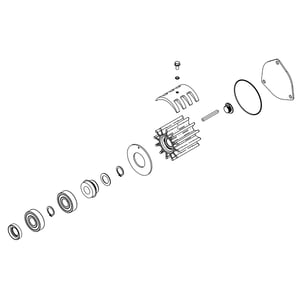 Pump Repair Kit