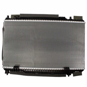 Image of RAD74