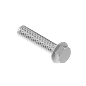Screw