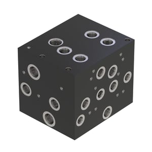 Manifold