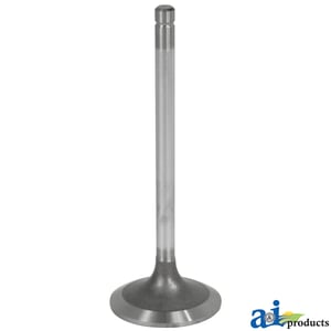Intake Valve