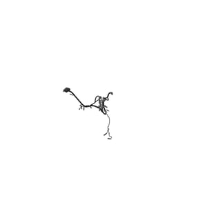 Image of RE596055