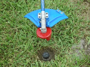 Image of GC3.75