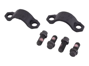 KIT CABLE TIE WITH SCREWS DANA