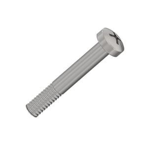 Screw