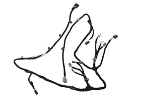Image of 23354301