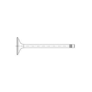 Intake Valve
