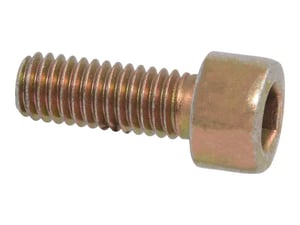 Image of 000015