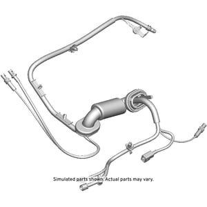 Image of 42729774