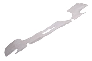 Image of 22770068