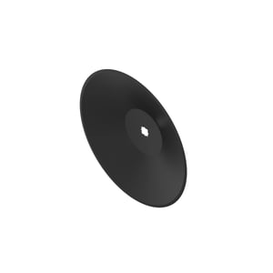 Disk