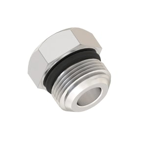Fitting Plug