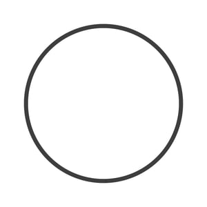 Piston Ring