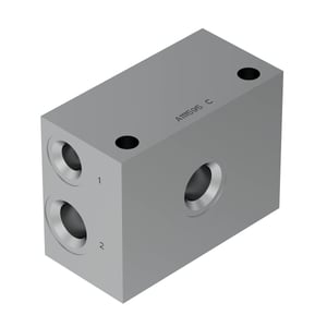 Manifold