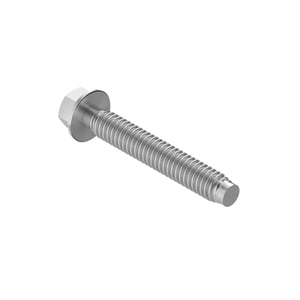 Screw