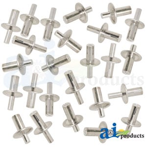 Rivet; Brazier Head, .250` X .531`
