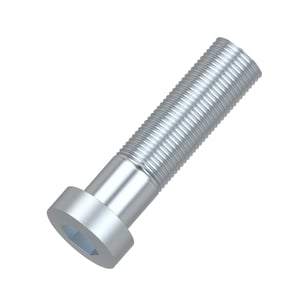 Screw