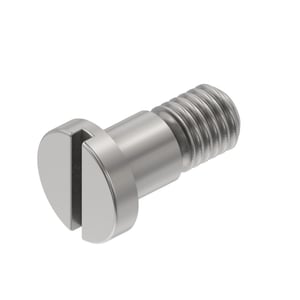 Screw