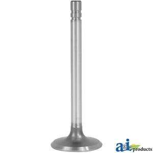 Intake Valve
