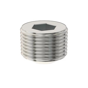 Fitting Plug