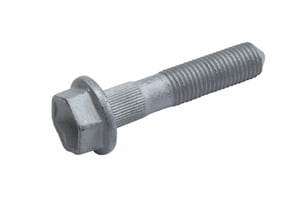 Image of 11547162