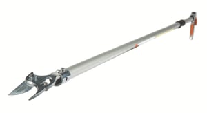 Image of pp101