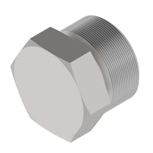 Fitting Plug