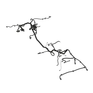 Image of AUC15689