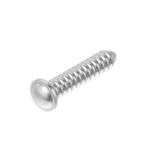 Screw